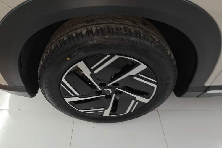 Used Wuling Xingguang S 2024 510 km Flagship Version Exterior 7
