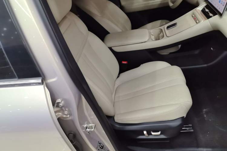 Used Wuling Xingguang S 2024 130 km Flagship Version Right Front Seat