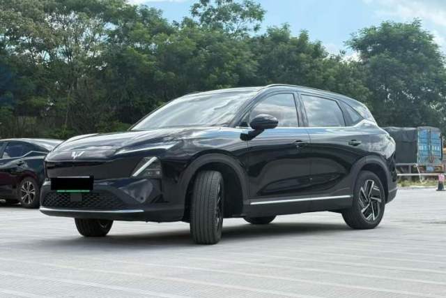 Wuling Xingguang S 2025 Model 510 km Flagship Version usado
