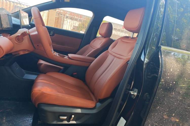 Used Wuling Xingguang S 2025 Model 510 km Flagship Version Left Front Seat