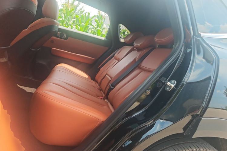 Used Wuling Xingguang S 2025 Model 510 km Flagship Version Left Rear Seat