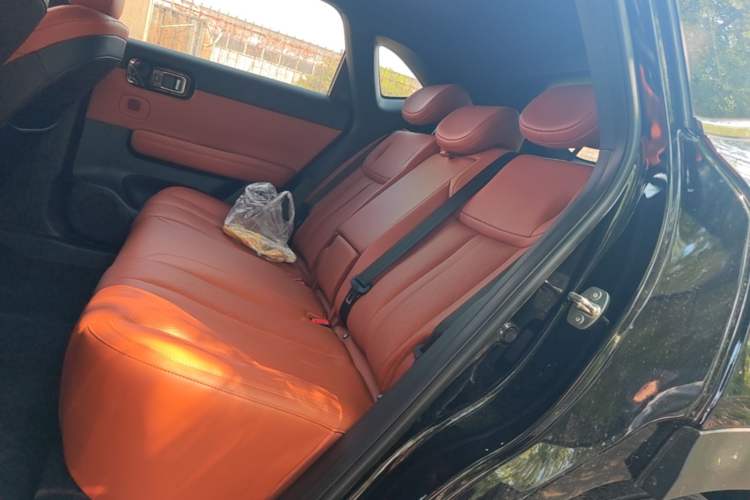 Used Wuling Xingguang S 2025 Model 510 km Flagship Version Left Rear Seat