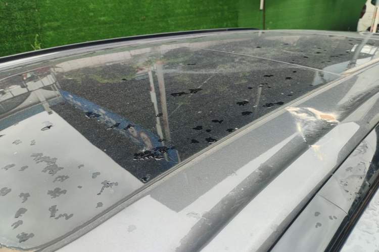 Used Wuling Xingguang S 2025 Model 510 km Flagship Version Roof