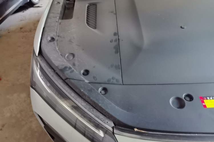 Used Wuling Xingguang S 2025 Model 510 km Flagship Version Engine Bay Right