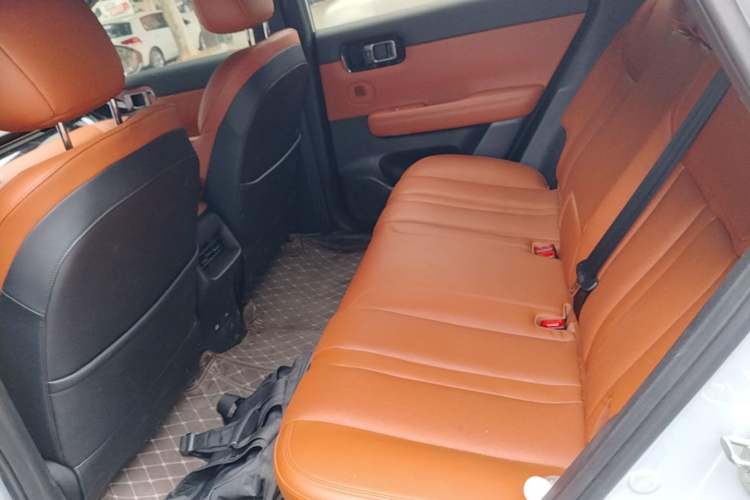 Used Wuling Xingguang S 2025 Model 510 km Flagship Version Left Rear Seat