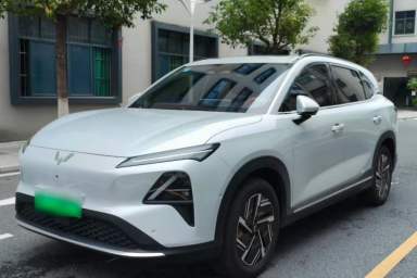 Used Wuling Xingguang S 2025 Model 510 km Flagship Version