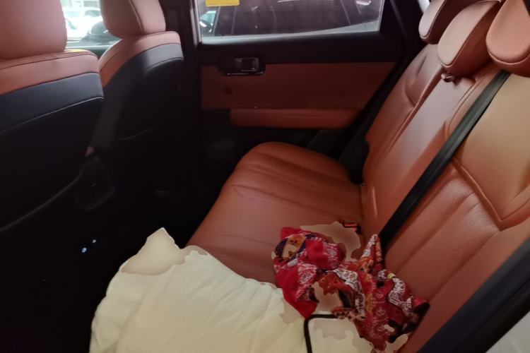 Used Wuling Xingguang S 2025 Model, 130km Flagship Edition Left Rear Seat