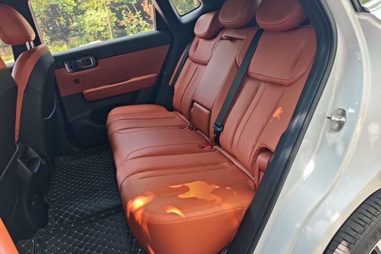 Used Wuling Xingguang S 2025 Model 510 km Flagship Version Left Rear Seat