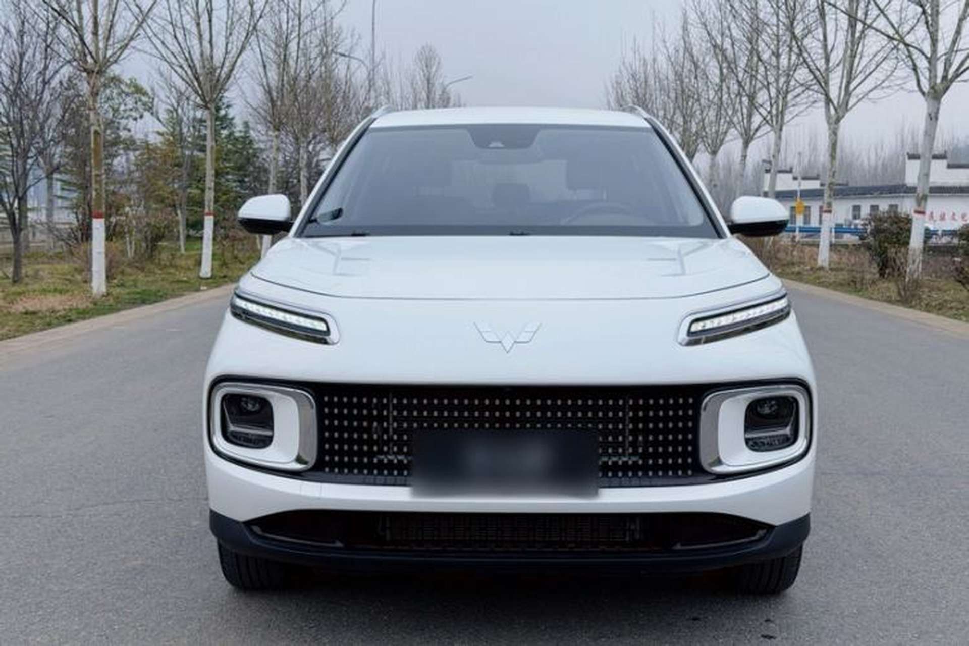 Used Wuling Xingyun 2023 2.0L DHT Standard Edition Exterior 6