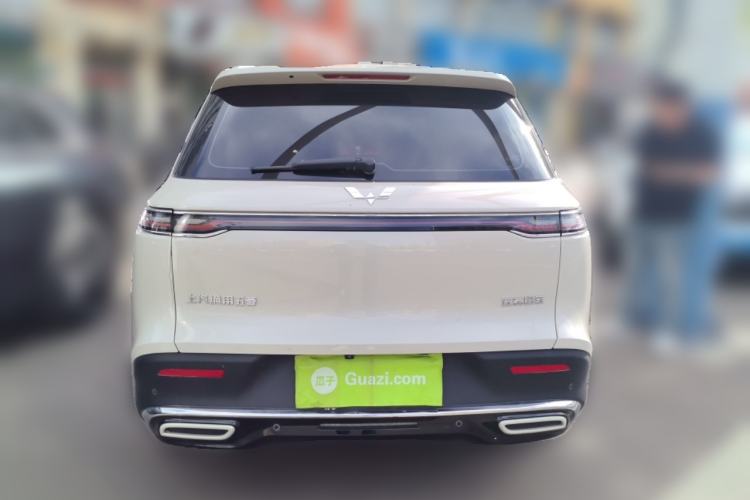Used Wuling Xingyun 2023 2.0L DHT Flagship Edition Rear