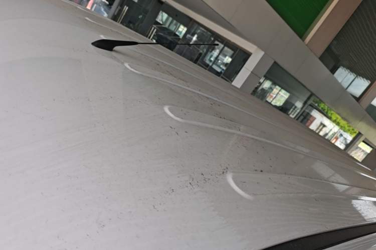 Used Wuling Yangguang 2026 Model, 440km Bus Comfort Edition, 6 Seats Roof