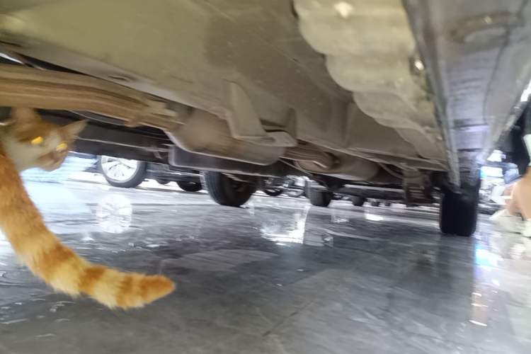 Used Wuling Zhengcheng 2021 1.5T Manual Comfort Version Left Side Sill