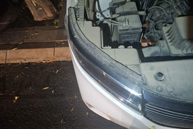 Used Wuling Zhengcheng 2021 1.5T Manual Luxury Version Right Front Headlight