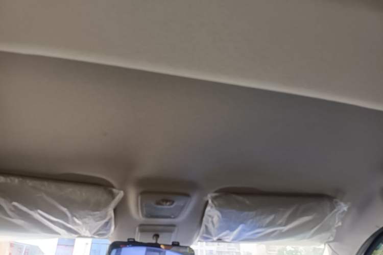 Used Wuling Zhengcheng 2022 2.0L Manual Entrepreneurial Version Headliner