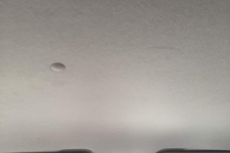 Used Wuling Zhengtu 2021 1.5L Adventure LAR Headliner