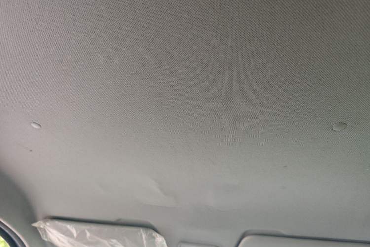 Used Wuling Zhengtu 2021 1.5L Adventure LAR Headliner