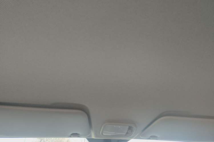 Used Wuling Zhengtu 2021 1.5L Entry-Level LAR Headliner