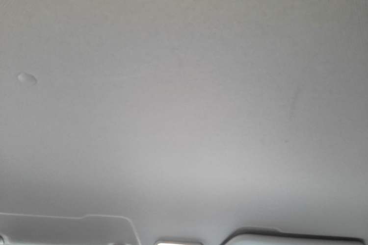 Used Wuling Zhengtu 2021 1.5L Adventure LAR Headliner