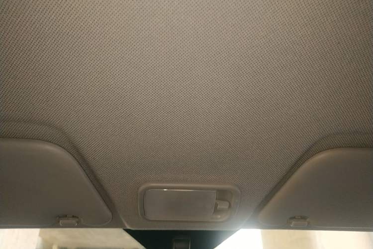 Used Wuling Zhengtu 2021 1.5L Entry-Level LAR Headliner