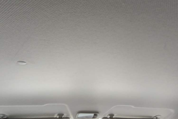Used Wuling Zhengtu 2021 1.5L Adventure LAR Headliner