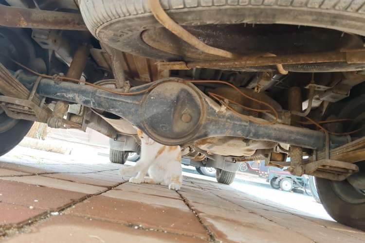 Used Wuling Zhiguang 2010 1.0L New Version Practical Short-Body L2Y Chassis Rear