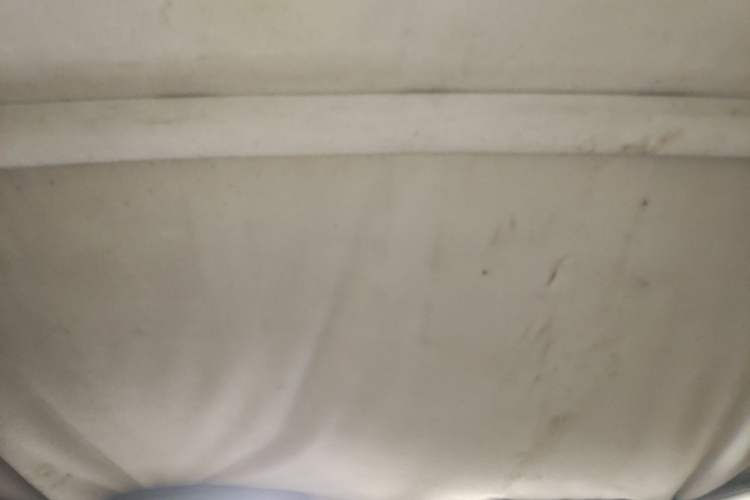 Used Wuling Zhiguang 2010 1.0L Liye Edition Headliner
