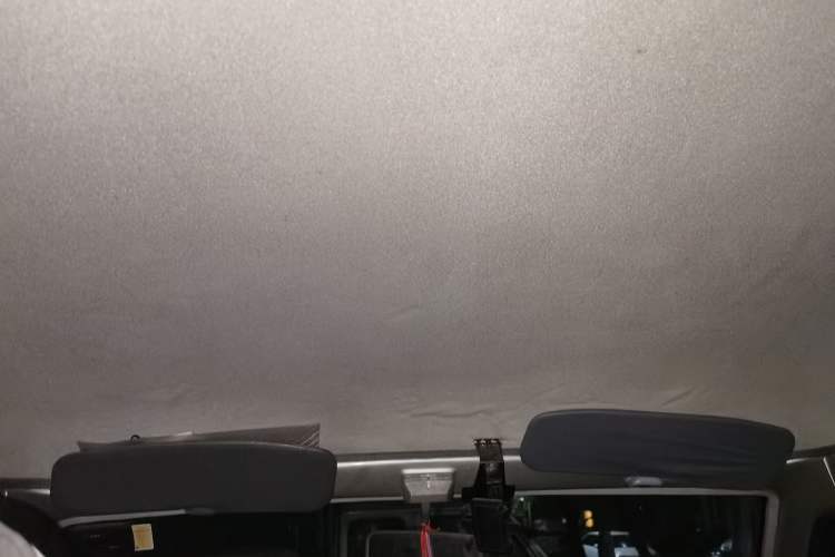 Used Wuling Zhiguang 2010 1.0L Liye Edition Headliner