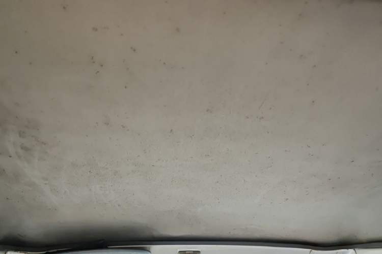 Used Wuling Zhiguang 2010 1.0L Liye Edition Headliner