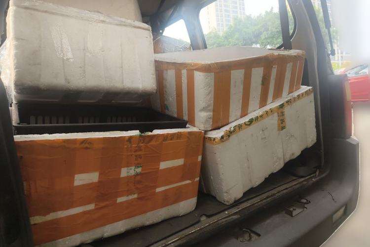 Used Wuling Zhiguang 2010 1.0L Liye Edition Trunk
