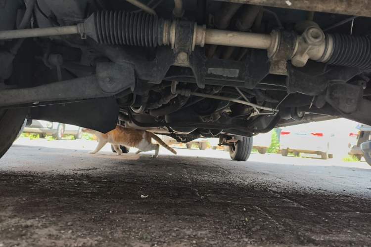 Used Wuling Zhiguang 2013 1.0L Practical Version Chassis Front
