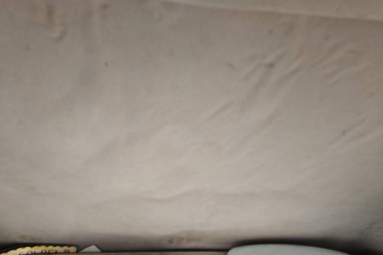 Used Wuling Zhiguang 2013 1.0L Practical Version Headliner
