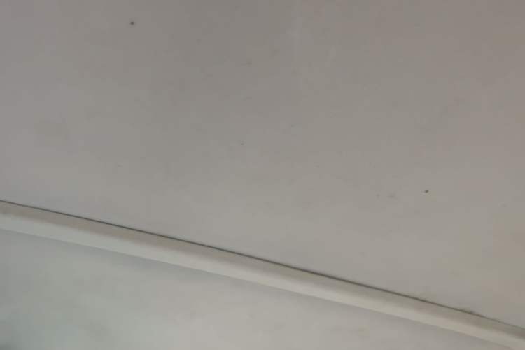 Used Wuling Zhiguang 2013 1.0L Practical Version Headliner