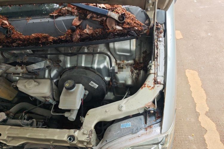 Used Wuling Zhiguang 2013 1.0L Practical Version Engine Bay Left