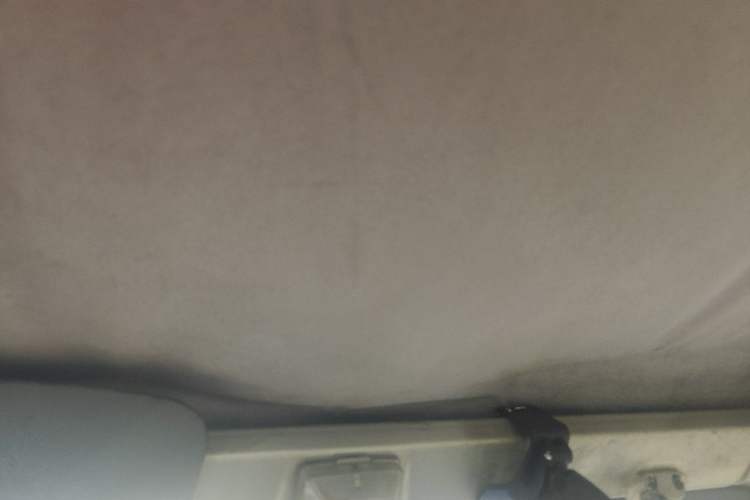 Used Wuling Zhiguang 2013 1.0L Practical Version Headliner