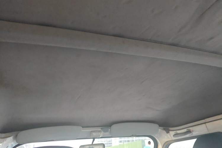 Used Wuling Zhiguang 2013 1.0L Practical Version Headliner