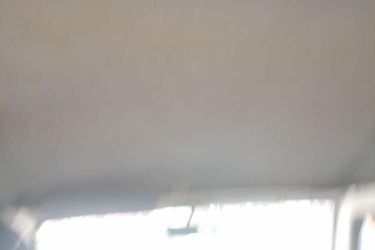 Used Wuling Zhiguang 2013 1.0L Practical Version Headliner