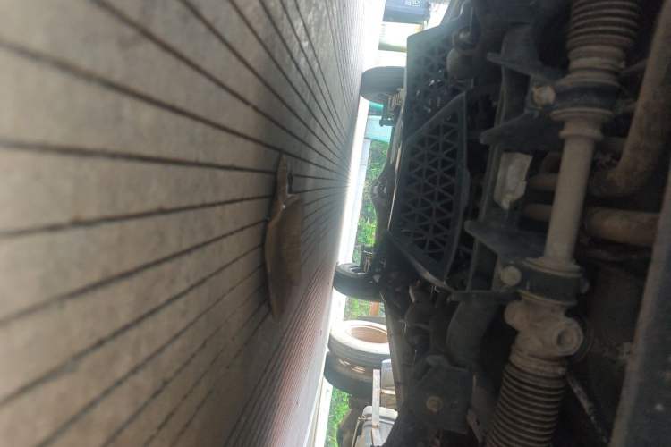Used Wuling Zhiguang 2015 1.2L S Practical Model LSI Chassis Front