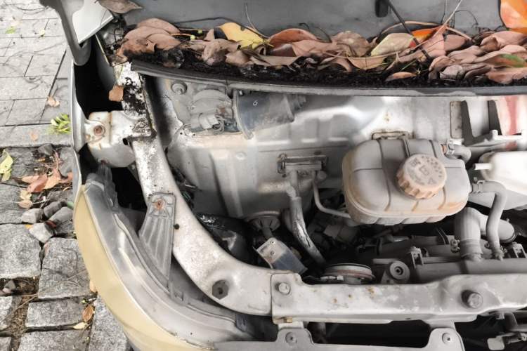 Used Wuling Zhiguang 2015 1.2L S Practical Model LSI Engine Bay Right