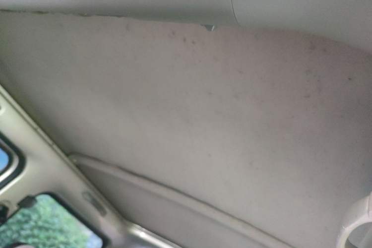 Used Wuling Zhiguang 2015 1.2L S Standard Model LSI Headliner