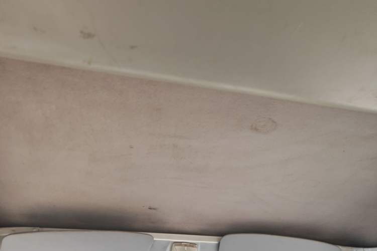 Used Wuling Zhiguang 2015 1.2L Practical LS-I Model Headliner