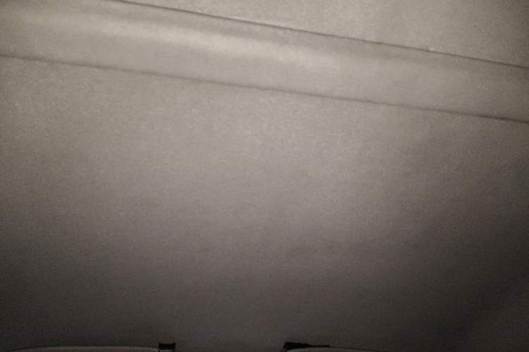 Used Wuling Zhiguang 2020 1.2L Practical Model China VI LSI Headliner