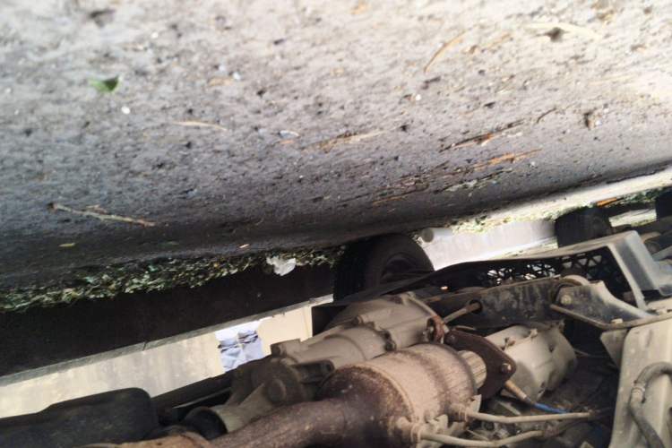 Used Wuling Zhiguang 2020 1.2L Practical Model China VI LSI Chassis Rear Left