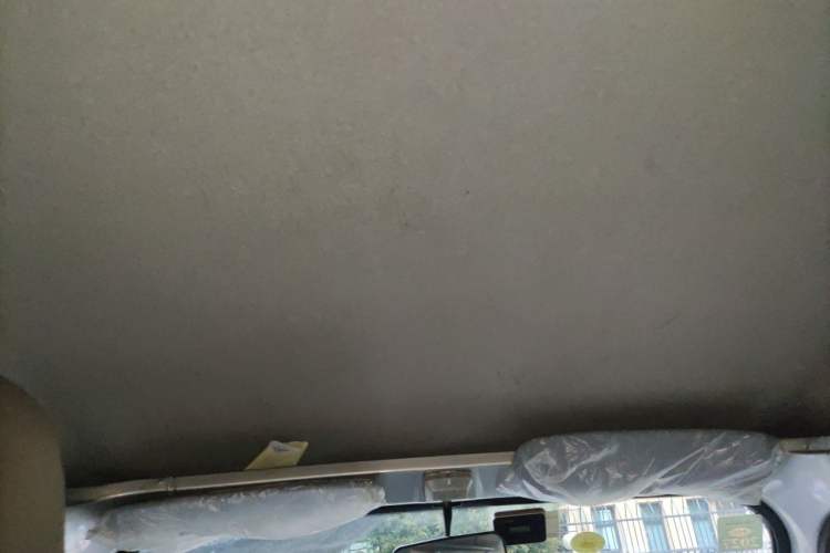 Used Wuling Zhiguang 2020 1.2L Practical Model China VI LSI Headliner