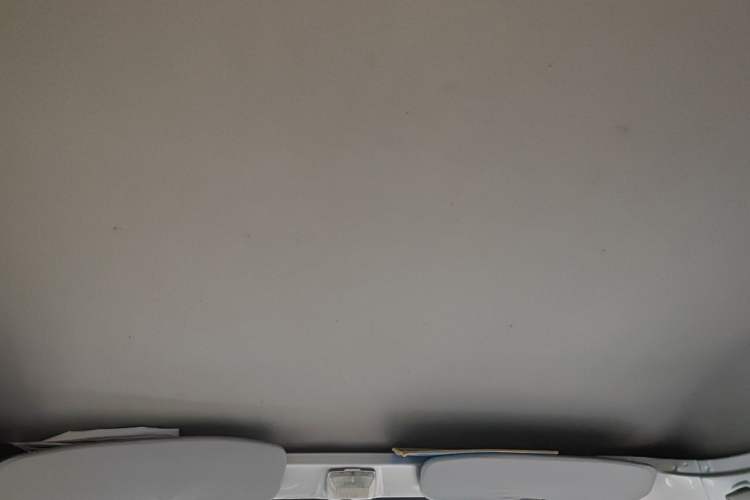 Used Wuling Zhiguang 2020 1.2L Practical Model China VI LSI Headliner