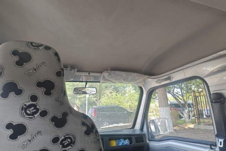 Used Wuling Zhiguang 2020 1.2L Practical Model China VI LSI Headliner