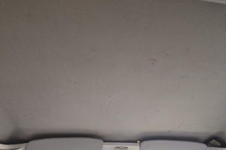 Used Wuling Zhiguang 2020 1.2L Practical Model China VI LSI Headliner