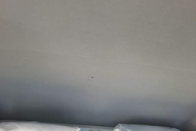 Used Wuling Zhiguang 2023 1.5L Practical Version 5/7 Seats Headliner
