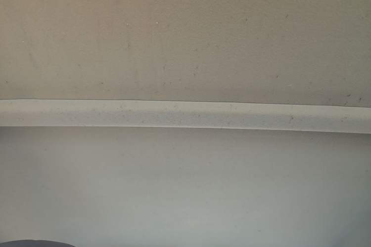 Used Wuling Zhiguang 2023 1.5L Practical Version 5/7 Seats Headliner