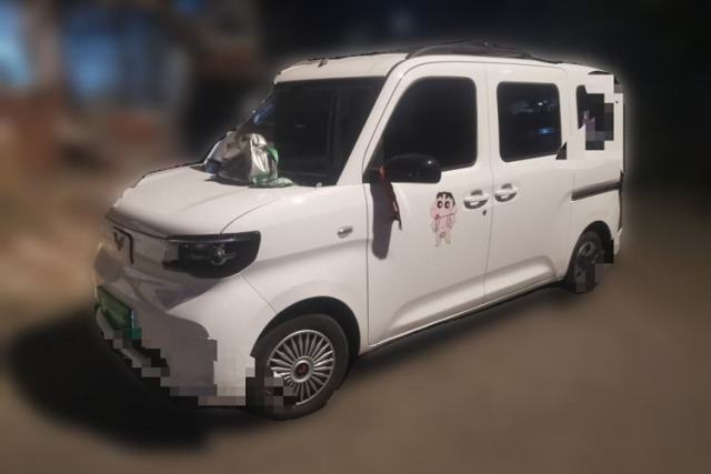 Wuling Zhiguang New Energy 2025 Comfort Model usata