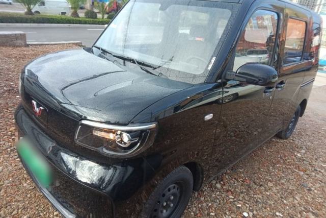 Wuling Zhiguang New Energy 2025 Standard Model usata